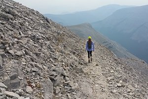 Mindset Blogs - Achieve Your Goals, Here Are 5 Actions You Need To Take